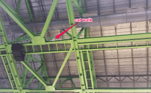 Example of a cat walk